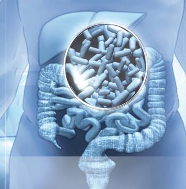 Importancia de la microbiota intestinal en el paciente con Enfermedad Renal Crónica